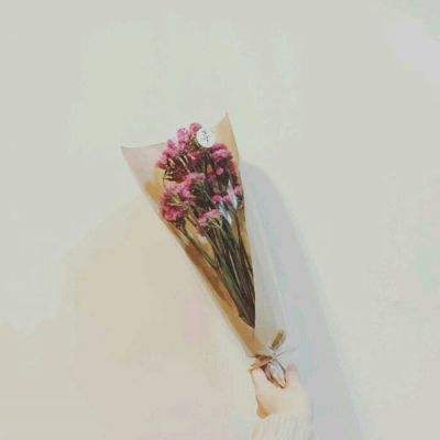 321枪战手机版下载